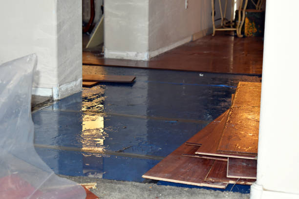 Professional Flood Damage Restoration technician working in Bryan, OH